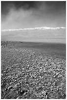 Salt formations on shore of Death Valley Lake, morning. Death Valley National Park ( black and white)