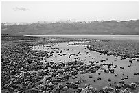 Pond and salt formations, Badwater, dawn. Death Valley National Park, California, USA. (black and white)
