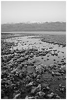 Recently emerged salt pools, Badwater, dawn. Death Valley National Park, California, USA. (black and white)