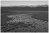 Salt pool and sunrise over the Panamints. Death Valley National Park ( black and white)