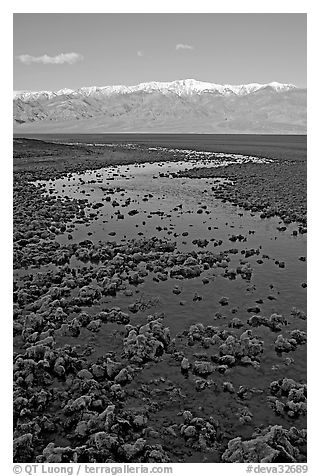 Salt pool and Panamint range, early morning. Death Valley National Park, California, USA.