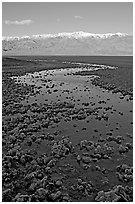 Salt pool and Panamint range, early morning. Death Valley National Park, California, USA. (black and white)