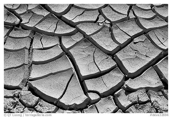 Mud cracks. Death Valley National Park, California, USA.