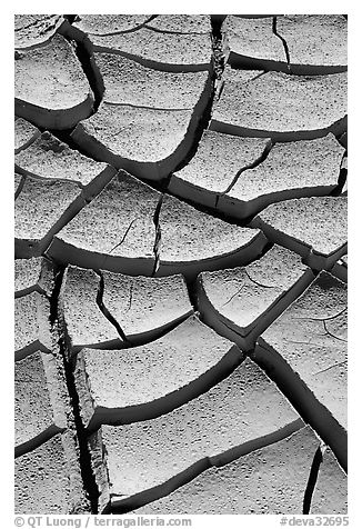 Cracked mud. Death Valley National Park (black and white)