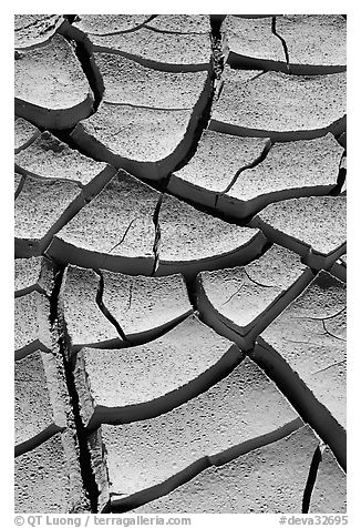 Cracked mud. Death Valley National Park, California, USA.