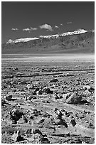 Rock field, salt flats, and Panamint Range, morning. Death Valley National Park, California, USA. (black and white)