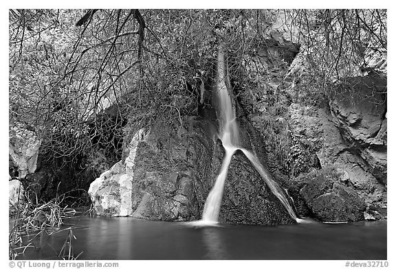 Darwin Falls desert oasis. Death Valley National Park, California, USA.