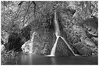 Darwin Falls desert oasis. Death Valley National Park, California, USA. (black and white)