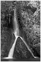 Darwin Falls, a rare desert waterfall. Death Valley National Park, California, USA. (black and white)