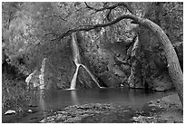 Desert Oasis with Darwin Falls. Death Valley National Park ( black and white)