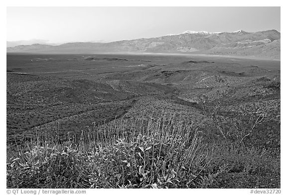 Panamint Valley and Panamint Range, dusk. Death Valley National Park, California, USA.