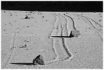 Gliding stones, the Racetrack playa. Death Valley National Park, California, USA. (black and white)