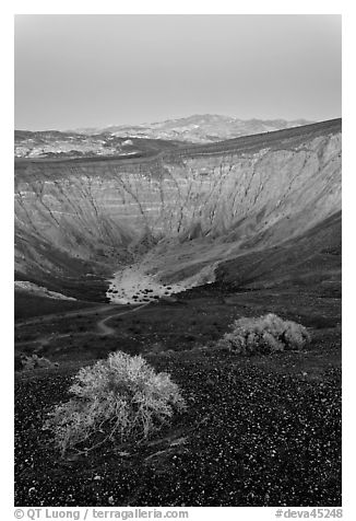 Sagebrush and Ubehebe Crater at dusk. Death Valley National Park, California, USA.