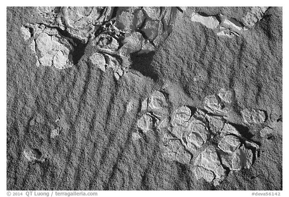 Close-up of dried mud and sand, Mesquite Dunes. Death Valley National Park (black and white)