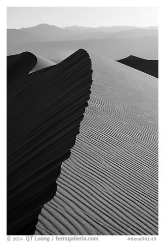 Dune ridge, late afternoon. Death Valley National Park (black and white)