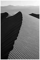 Dune ridge, late afternoon. Death Valley National Park ( black and white)