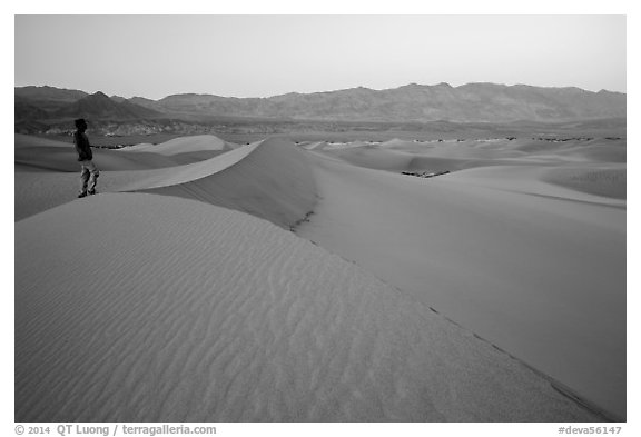 Park visitor looking, Mesquite Sand Dunes. Death Valley National Park (black and white)