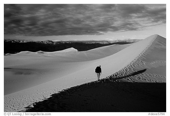 Hiking towards tall dune, the Mesquite Dunes, sunrise. Death Valley National Park, California, USA.