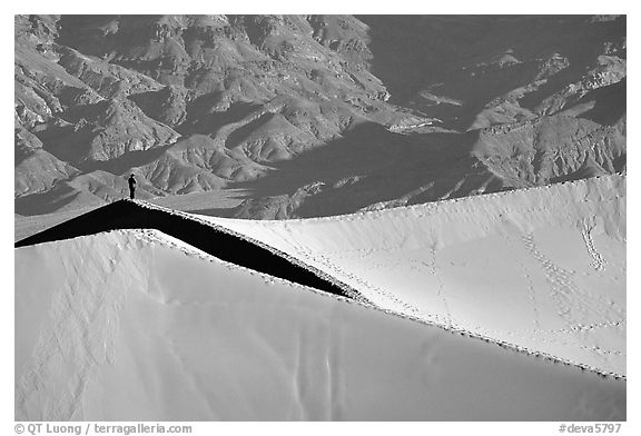 Hiker on sand dunes. Death Valley National Park (black and white)