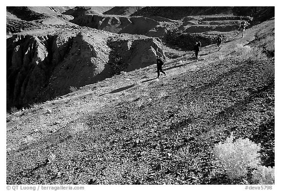 Hikers on slopes above side canyon. Death Valley National Park (black and white)
