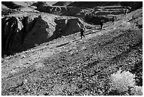 Hikers on slopes above side canyon. Death Valley National Park, California, USA. (black and white)