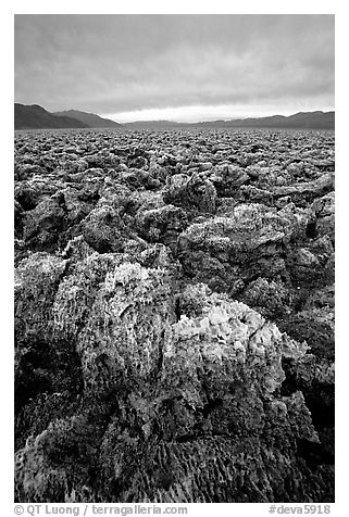 Salt formations at Devil's Golf Course. Death Valley National Park, California, USA.