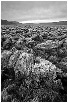 Salt formations at Devil's Golf Course. Death Valley National Park ( black and white)