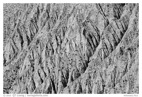 Eroded gullies near Emigrant Pass. Death Valley National Park (black and white)