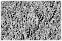 Eroded gullies near Emigrant Pass. Death Valley National Park ( black and white)