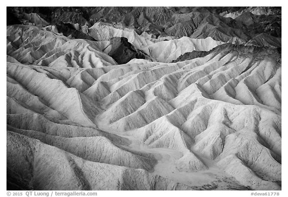 Eroded badlands at dawn, Zabriskie Point. Death Valley National Park (black and white)