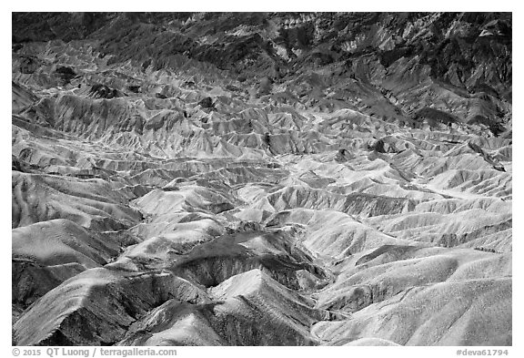 Badlands near Zabriskie Point. Death Valley National Park (black and white)