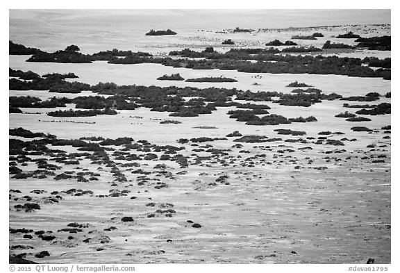 Main valley floor vegetation from above. Death Valley National Park (black and white)