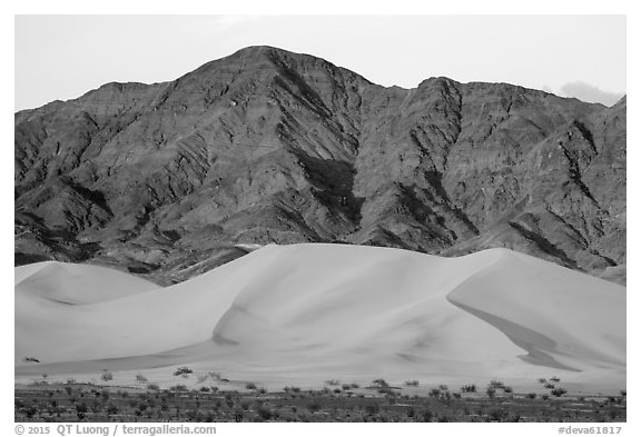 Ibex Dunes and Saddle Peak Hills at sunset. Death Valley National Park (black and white)