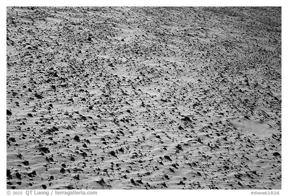 Ground covered with small sharp rock. Death Valley National Park (black and white)