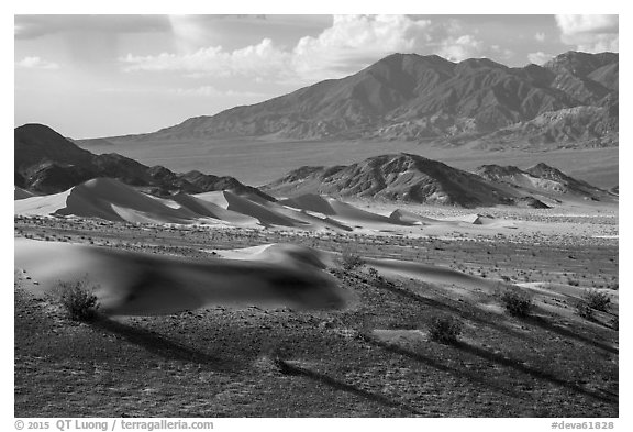 Ibex Dunes and mountains. Death Valley National Park (black and white)