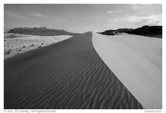Dune ridge and ripples, Ibex Dunes. Death Valley National Park (black and white)