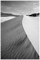 Ibex Sand Dune ridge and ripples. Death Valley National Park ( black and white)