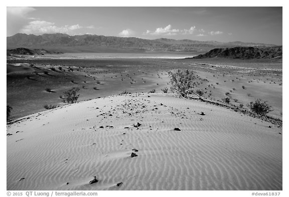 Ibex Dunes and valley. Death Valley National Park (black and white)