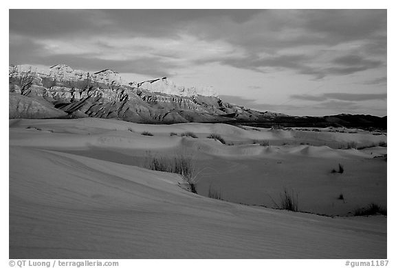 Salt Basin dunes and Guadalupe range at sunset. Guadalupe Mountains National Park (black and white)