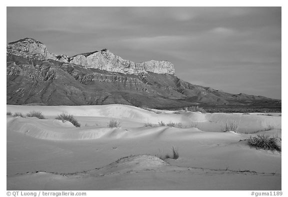 White gyspum sand dunes and cliffs of Guadalupe range at dusk. Guadalupe Mountains National Park, Texas, USA.