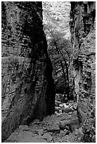 Narrow passage between cliffs, Devil's Hall. Guadalupe Mountains National Park, Texas, USA. (black and white)