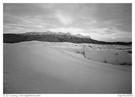 White gypsum dunes and Guadalupe range at sunset. Guadalupe Mountains National Park (black and white)