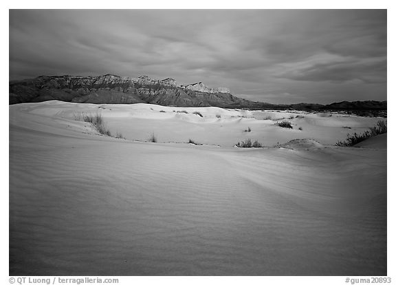 Gypsum dune field and last light on Guadalupe range. Guadalupe Mountains National Park (black and white)