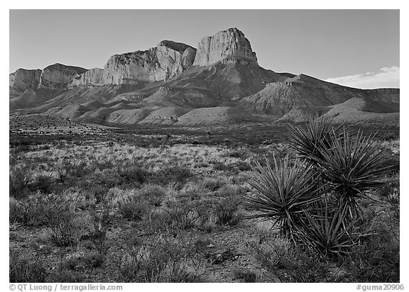 El Capitan from Williams Ranch road, sunset. Guadalupe Mountains National Park, Texas, USA.