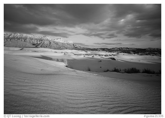Red light of sunset on white sand dunes and Guadalupe range. Guadalupe Mountains National Park (black and white)