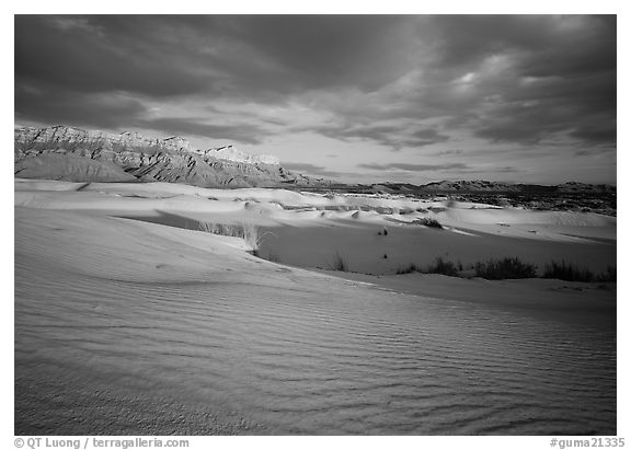 Red light of sunset on white sand dunes and Guadalupe range. Guadalupe Mountains National Park, Texas, USA.