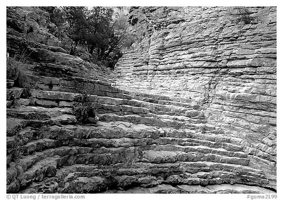 Hiker's Staircase, Pine Spring Canyon. Guadalupe Mountains National Park, Texas, USA.