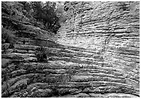 Hiker's Staircase, Pine Spring Canyon. Guadalupe Mountains National Park, Texas, USA. (black and white)