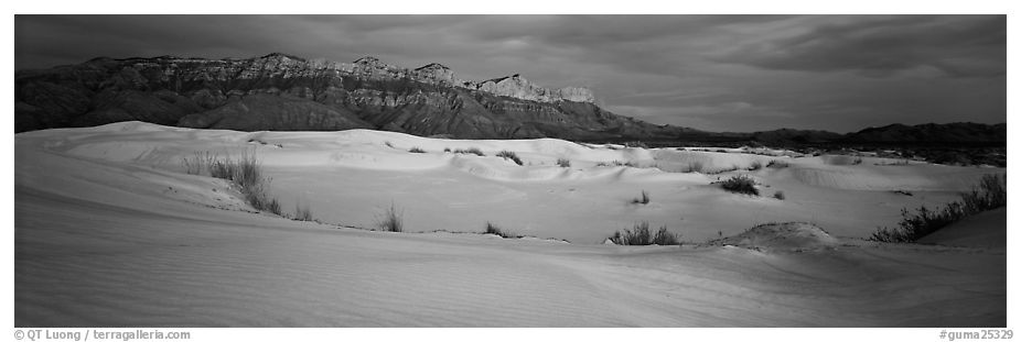 Salt Basin gypsum dunes and Guadalupe range. Guadalupe Mountains National Park (black and white)