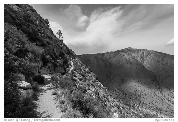 Guadalupe Peak Trail. Guadalupe Mountains National Park (black and white)